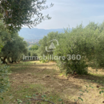 Laurignano-Terreno-Edificabile-foto-5