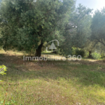 Laurignano-Terreno-Edificabile-foto-6