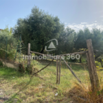 Laurignano-Terreno-Edificabile-foto-3