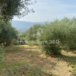 Laurignano-Terreno-Edificabile-foto-7