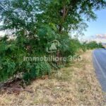 Montalto-U.-Via-B.-Croce-Terreno-Edificabile-foto-1