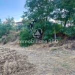 Montalto-U.-Via-B.-Croce-Terreno-Edificabile-foto-2