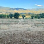 Montalto-U.-Via-B.-Croce-Terreno-Edificabile-foto-4