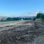 Montalto-U.-Via-B.-Croce-Terreno-Edificabile-foto-6