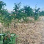 Montalto-U.-Via-B.-Croce-Terreno-Edificabile-foto-7