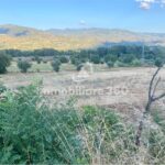 Montalto-U.-Via-B.-Croce-Terreno-Edificabile-foto-8