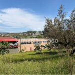 Castrolibero-CDa-Motta-Terreno-Industriale-foto-5