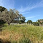 Castrolibero-CDa-Motta-Terreno-Industriale-foto-5